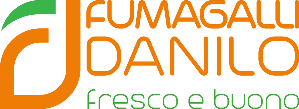 Logo Fumagalli Danilo